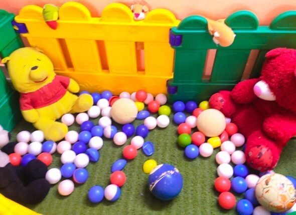 WhatsApp Image 2026-02-06 at 13.20.16